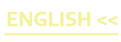 ENGLISH